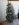 Christmas tree .jpg