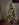 Christmas tree with lights on.jpg