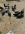 1777643569660.png