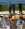 IMG_0297.jpeg