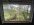 IMG_3888.jpeg