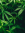 1778716618103.png 1778716618103.png