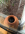 1779181711057.png