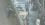 1779303776319.png