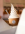 1779451288187.png