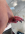 1779790886155.png 1779790886155.png