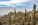 1779837081483.png 1779837081483.png