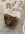 1780245510439.png