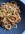 1780419978665.png