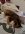 IMG_1238.jpeg