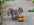 IMG_4836.png