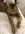 IMG_1289.jpeg
