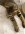 IMG_1290.jpeg
