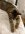 IMG_1287.jpeg