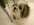 1783326309614.png