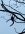 IMG_1758.jpeg