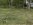 IMG_1811.jpeg