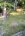 IMG_1807.jpeg
