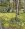 IMG_1809.jpeg