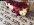 IMG_0450.jpeg