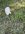 IMG_2105.jpeg