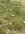 IMG_2048.jpeg