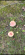 IMG_1937.png