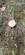 IMG_1936.png