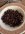IMG_2828.jpeg