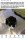 IMG_3025.jpeg