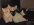 IMG_2480.jpeg