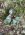 IMG_3198.jpeg