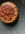 1790668009789.png