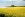 403665-rapeseed-field-bamburgh-castle-uk.jpeg