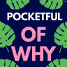 Pocketful of Why