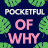 Pocketful of Why