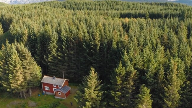 c_X3RAzq9AJKydUqmzgOwAQPBYJKS8W2ULRCCpvQamfw