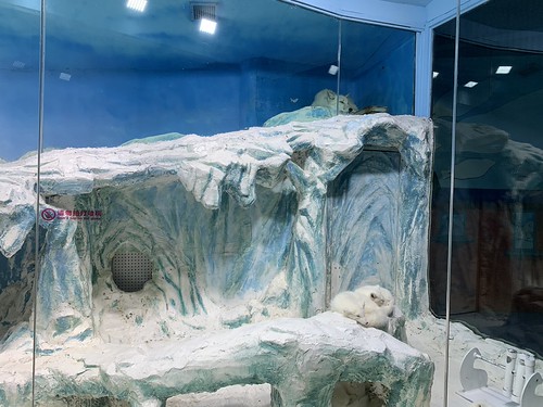 2019 CCA Investigation into Harbin Polar Land