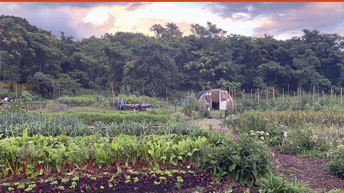 www.cornucopia.org