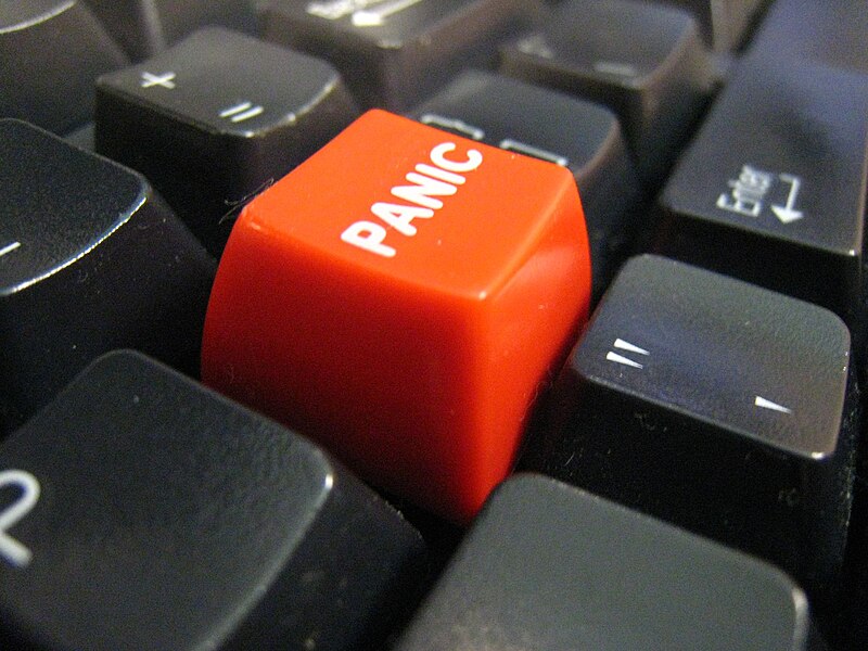 800px-Panic_button.jpg