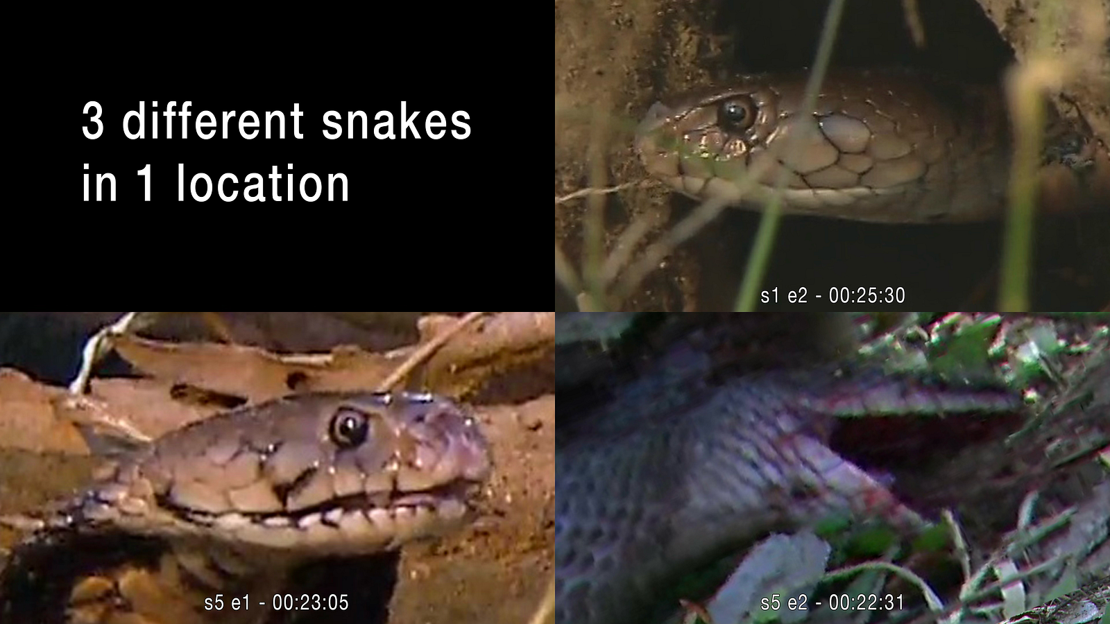 1*3Xo78cGwpX0lKhyjXA0LhQ.png