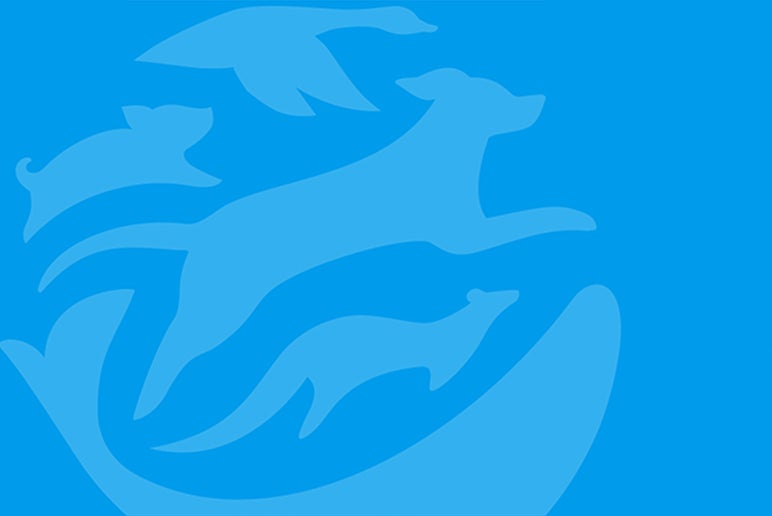 blog.humanesociety.org