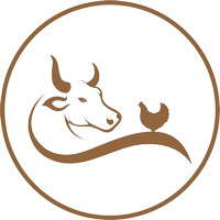 ttcch-covid-19-appeal.raisely.com