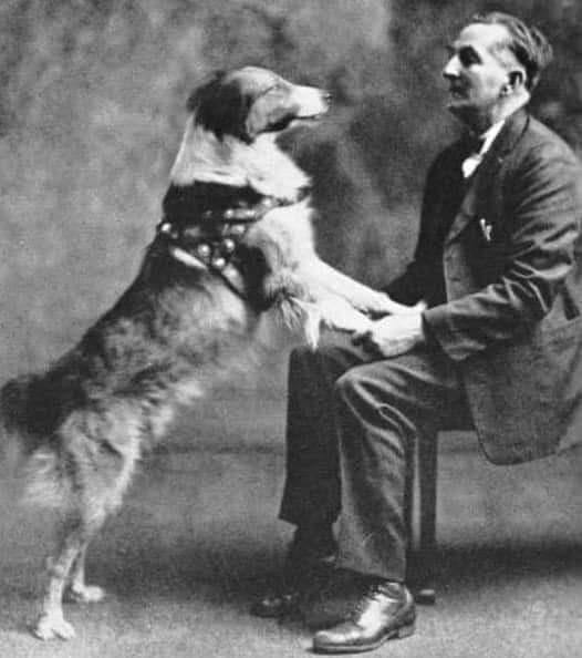 main-qimg-5665f7e02f3d9c45f7c41dec7f41f2e9-lq