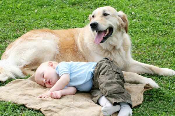 baby-with-dog.jpg