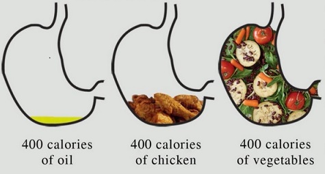 satiety_oil_chicken_vegetables.jpg