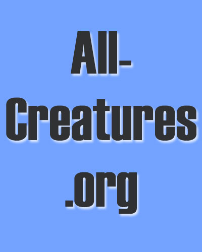 www.all-creatures.org