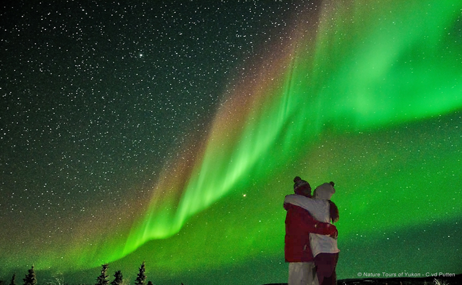 NatureToursYukon-Aurorahunt-canada.jpg