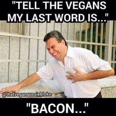 405a40cccc505090b0d75c7c4e2d7d4b--why-vegan-vegan-humor.jpg
