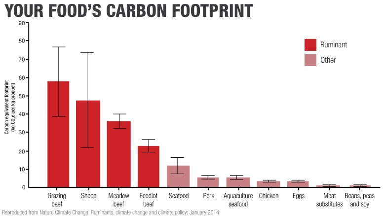 carbonfootprint_3_orig.jpg